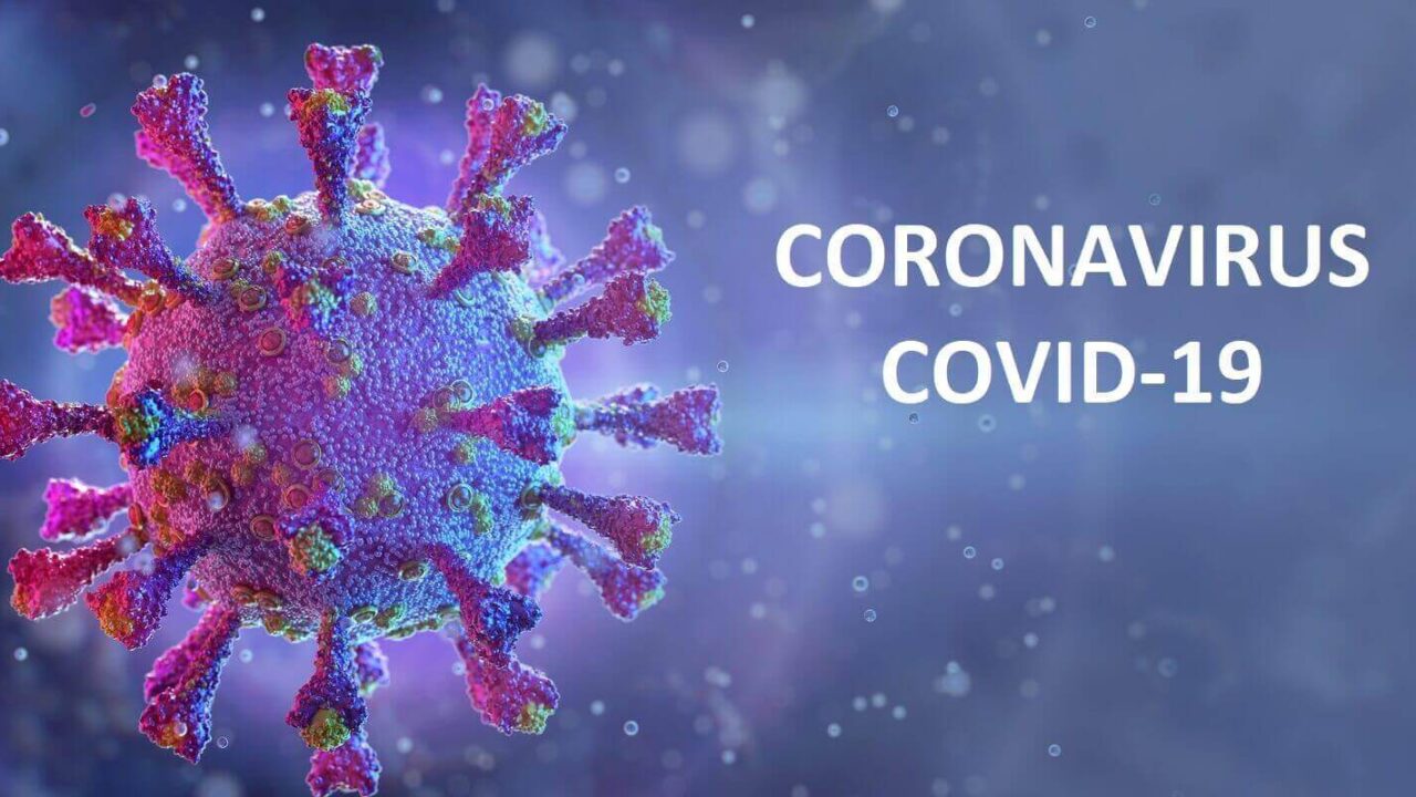 coronavirus 3d
